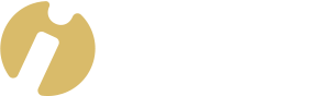 StudieInfo logo